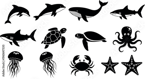 Marine Animals Silhouette Set with Dolphin Whale Shark Turtle Octopus Jellyfish Crab and Starfish Black Vector Illustration Collection