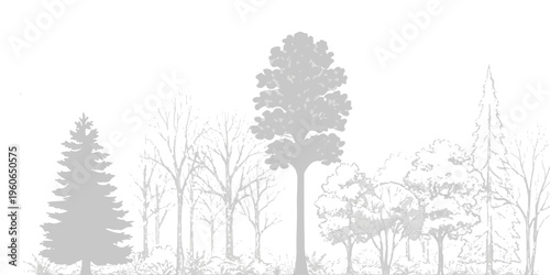 A monochromatic digital illustration showing a diverse collection of various forest tree species