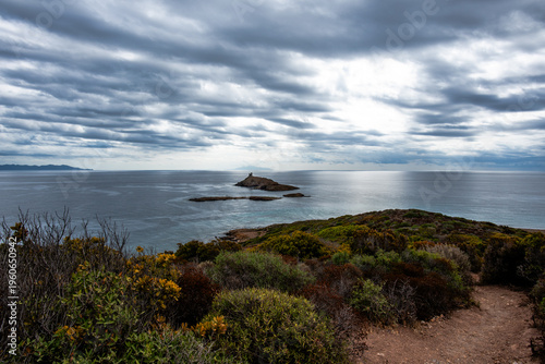 Quadro em tela Coastal shrubland with island and tower