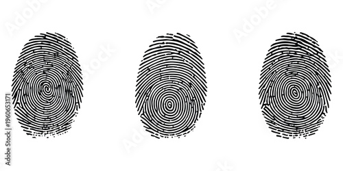 Three distinct black fingerprint patterns isolated on a plain white background for identification