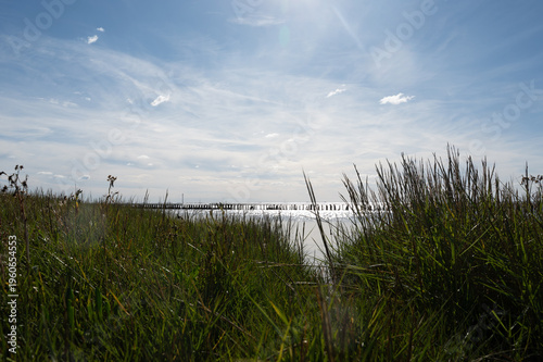 Dune grass overlooking the sea