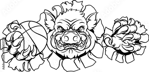 A wild boar, hog razorback ...