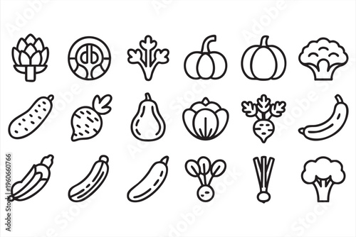 Organic vegetable collection with line icons for farm harvest cooking and wellness concepts