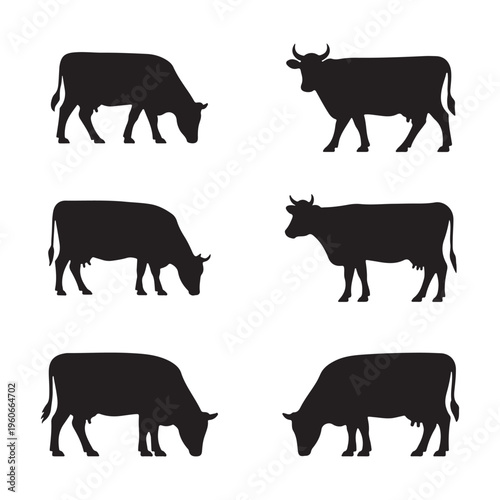 Set of cow silhouette icons, Grazing and standing cattle collection, Farm livestock animal vector icons. Vector graphics.
