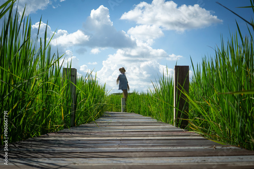 Traditional scarecrow standing in a lush green rice field with a wooden walkway leading towards it under a bright blue sky and white clouds, scenic rural landscape for nature background.