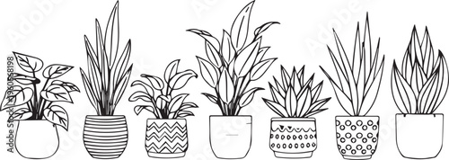 A charming collection of diverse potted houseplants presented as a black and white outline vector graphic illustration, perfect for adding a touch of natural elegance to any modern design project 
