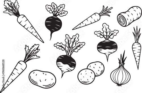 A delightful collection of fresh garden root vegetables, including crisp carrots, earthy beets, wholesome potatoes, and pungent onions, presented as a charming hand-drawn outline 