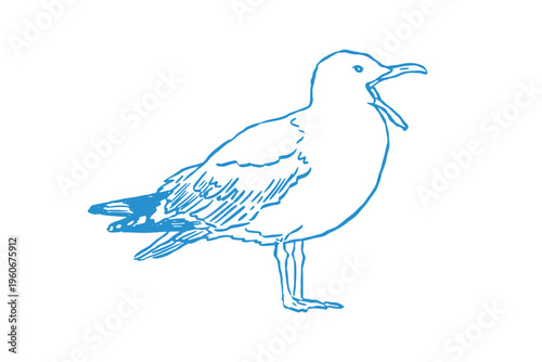 Line art illustration of a seagull standing and calling out with its beak open