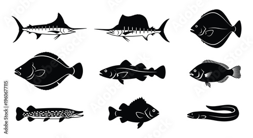 Swordfish and Flatfish Silhouette Set — Black Vector Illustrations of Marlin, Sailfish, Flounder, Halibut, and Eel for Marine and Fishing Design