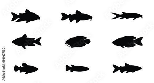Small Fish Silhouette Set — Minimal Black Vector Illustrations of Compact Freshwater and River Fish Shapes on White Background