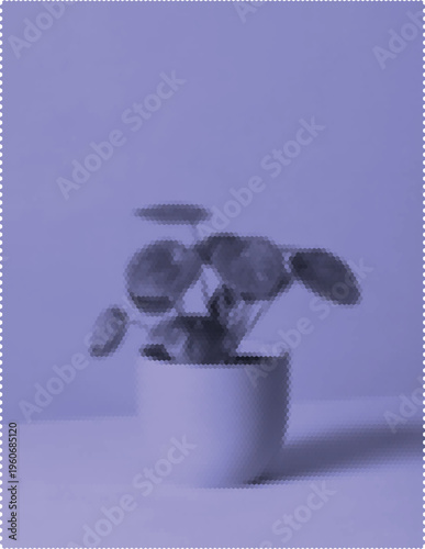 Pilea peperomioides plant in a white pot on a clean surface