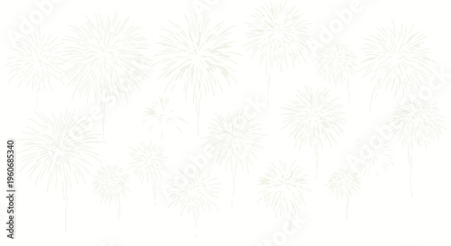 Fireworks explosions in the sky