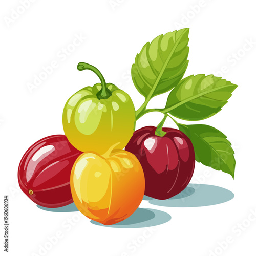 Half cut avocado showing large seed and creamy green flesh for healthy eating and cooking - Vector Illustration