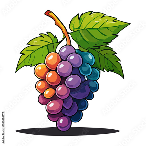 Fresh raspberry berry for summer fruit picking and sweet garden berry jam label design elements - Vector Illustration