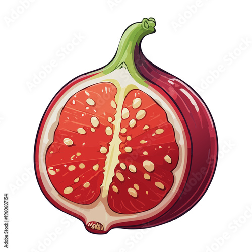 Sliced pink dragon fruit for exotic tropical smoothie bowl and healthy superfood breakfast menu visuals - Vector Illustration