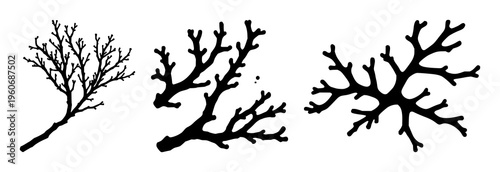 Coral branch silhouette set with single black line illustration against blue background featuring coral, branch, underwater scene with minimalist and geometric design