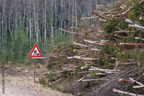 road sign in the forest