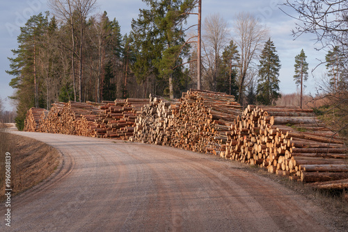 roadside wood pile