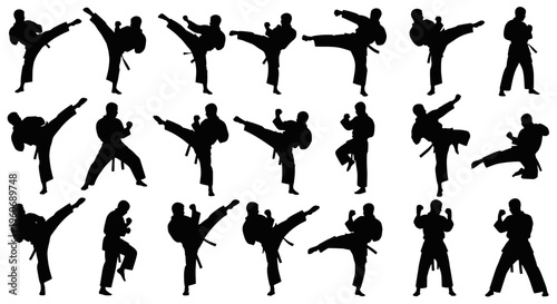 Karate Kick Silhouettes: Dynamic Martial Arts Action Poses