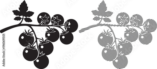 Black grapes with leaves growing on a vine and a cluster of decorative grape ornaments