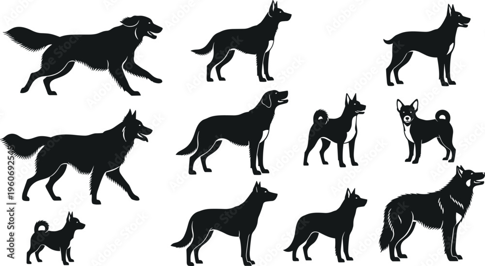 Fototapeta premium Dog silhouettes collection featuring various breeds and poses, black vector illustration set, domestic animals icons, canine shapes isolated, pet design elements for branding