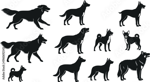 Dog silhouettes collection featuring various breeds and poses, black vector illustration set, domestic animals icons, canine shapes isolated, pet design elements for branding