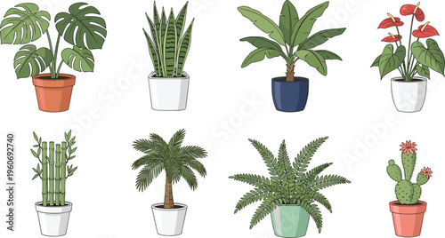 Illustration of eight diverse potted houseplants including Monstera, Snake Plant, Banana Plant, Anthurium, Lucky Bamboo, Palm, Fern, and Cactus, showcasing foliage, pot designs, and indoor greenery 