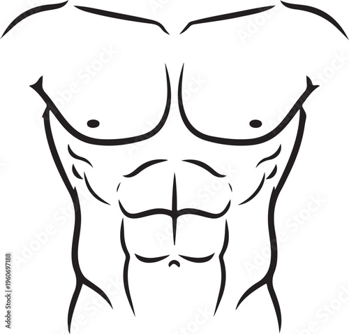 Athletic Male Torso with Six Pack Abs Minimalist Muscle Line Art Vector