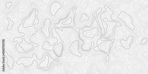 High Detail Topographic Contour Map with Natural Terrain Elevation Lines and Modern Minimal Background Texture