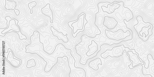 Detailed Geographic Topographic Map with Smooth Contour Lines and Mountain Terrain Relief Seamless Background Texture