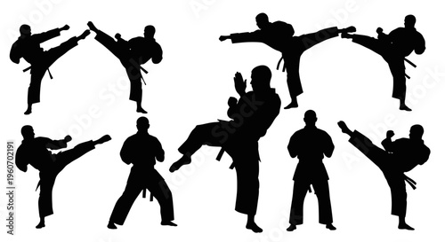 Martial Arts Silhouette Collection: Karate Kicks and Punches