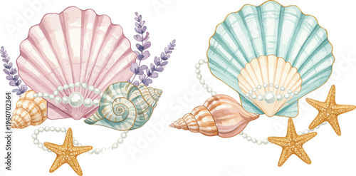 Colorful seashells and starfish on white background with ocean treasures