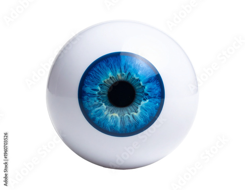 Cartoon eye illustration: whimsical round eye with blue iris and white sclera