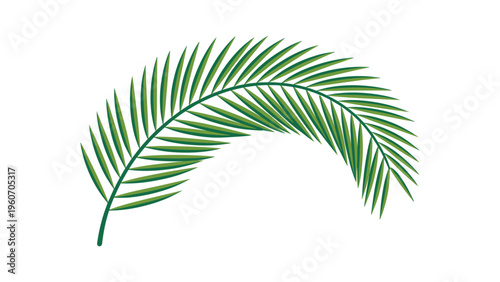 Palm Leaf Christian Religious Symbol and Nature Concept. Palm Sunday, Holy Week, Easter Sunday