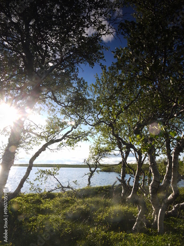 Sunset at the lake in Fullufjallet national park in Sweden