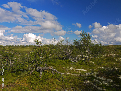 Landscape in Fulufjallet national park in Sweden