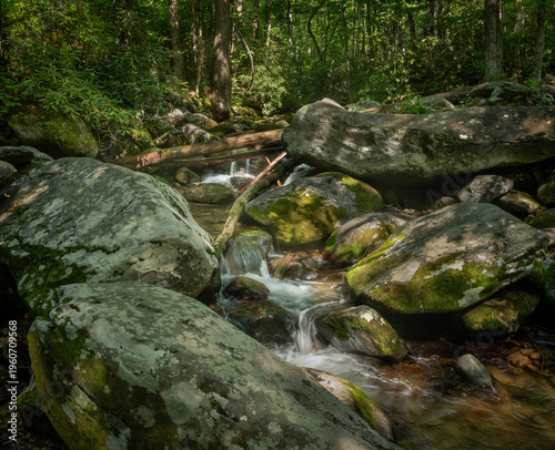 View of the creek flowing swiftly over moss-covered rocks, with sunlight dappling through the dense forest canopy, Gatlinburg, Tennessee, United States.