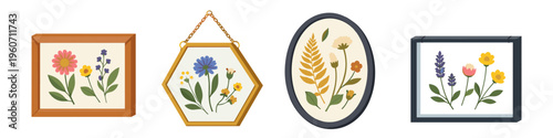 Collection of framed pressed flowers and botanical art in various shapes and sizes