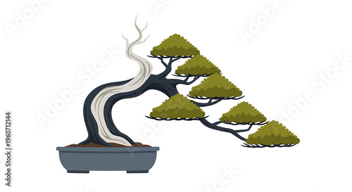 Bonsai tree green plants potted plant vector illustration