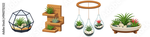 Assortment of decorative air plant holders and planters for home decor