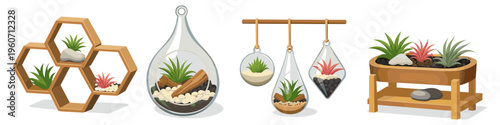 Assortment of decorative indoor plant displays and terrariums for home decor