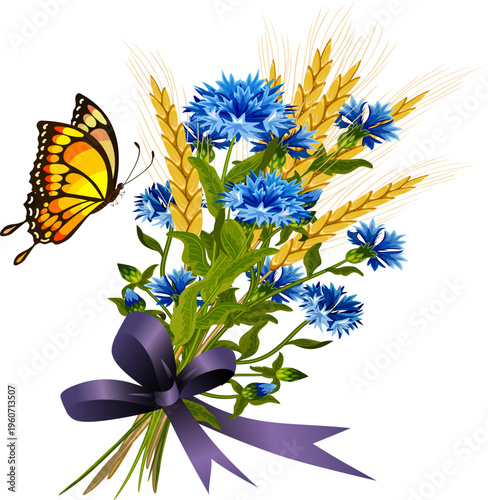 Cornflowers and steppe ears with a ribbon.Vector illustration with a bouquet of ears and cornflowers with a colored bow on a transparent background with a butterfly.