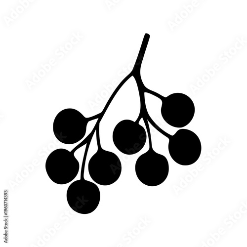 Silhouette of a cluster of berries attached to a stem and branches