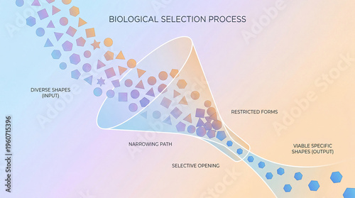 Dynamic journey of varied geometric forms sifting through a selective biological funnel, revealing viable specific outcomes