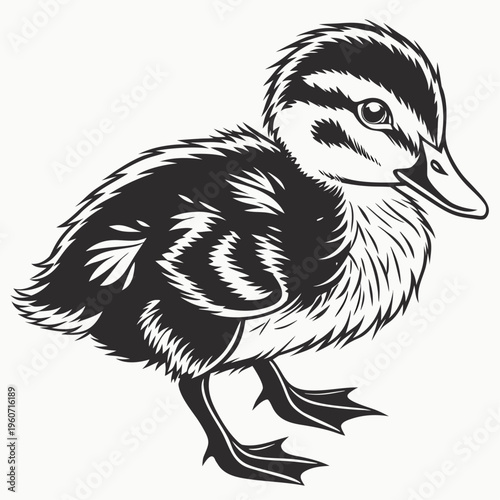 duckling---black-design-on-white-background-