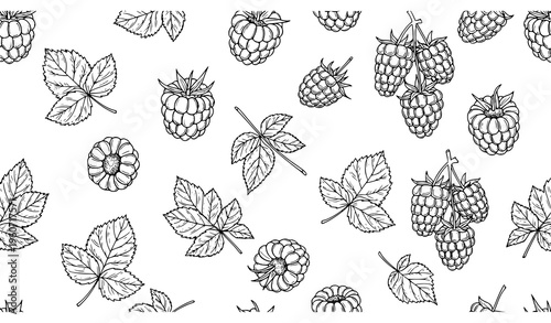 Seamless raspberry pattern hand drawn black and white berry and leaves linear vector for kitchen and packaging