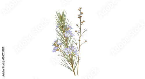 Delicate purple wildflowers and buds on thin branches