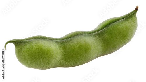 Tableau sur toile Vibrant green fava bean pod slightly curved and textured, isolated on transparen