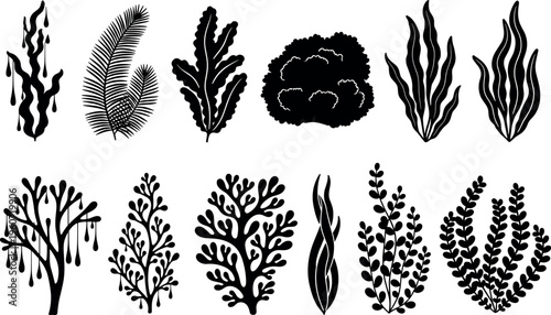 Seaweed silhouette icon vector illustration with decorative design, elegant aquatic artwork, creative marine composition, ornamental background pattern