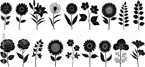  Vector illustration of flower and plant silhouettes, diverse botanical forms, natural foliage artwork, creative design elements